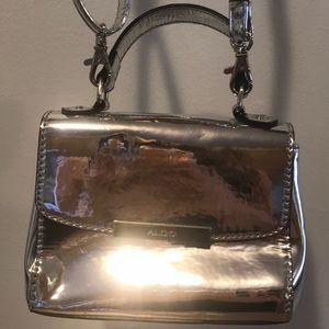Platinum Silver Purse